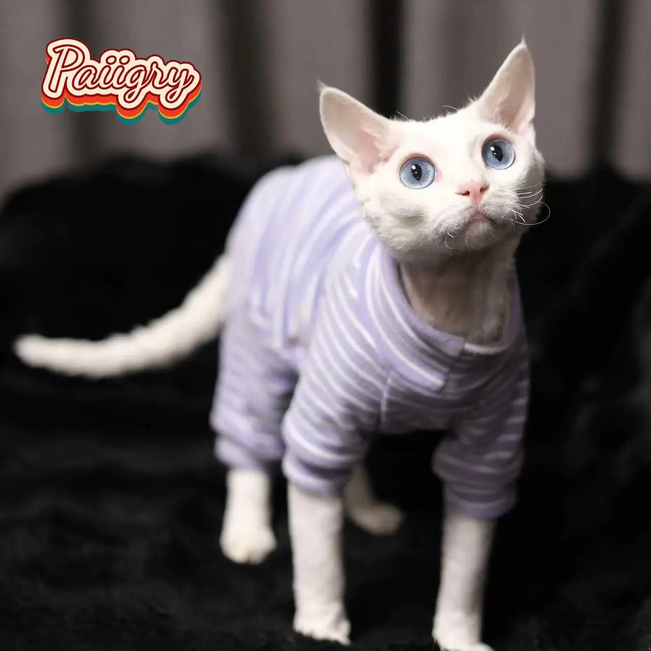 Warm Four-Legged Clothes for Hairless Cats