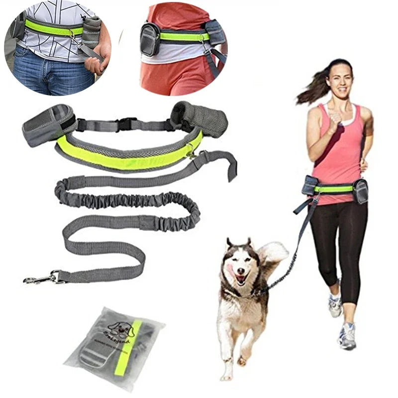 Reflective Pet Harness & Leash Set for Dogs & Cats