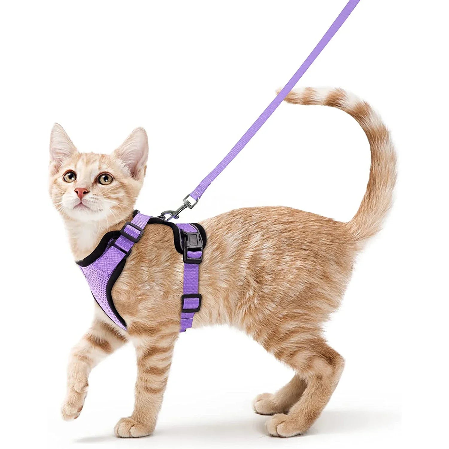 Escape-Proof Adjustable Cat Harness & Leash – Soft Vest for Walking