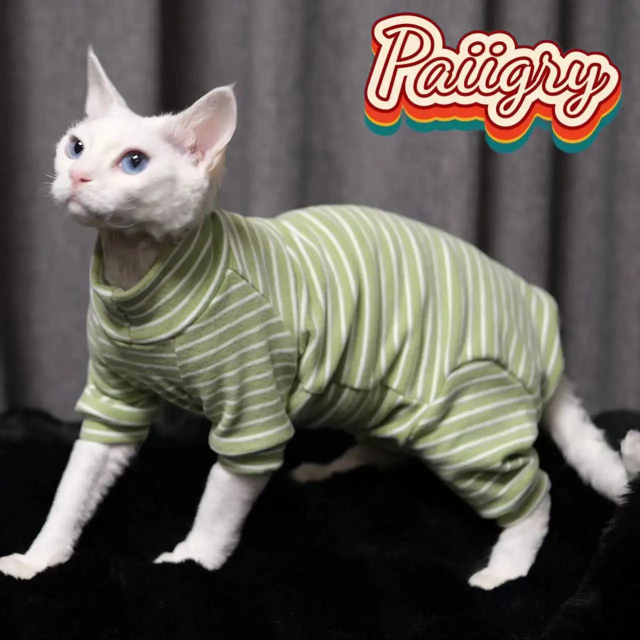 Warm Four-Legged Clothes for Hairless Cats