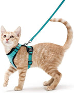 Escape-Proof Adjustable Cat Harness & Leash – Soft Vest for Walking