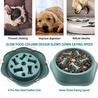 Anti-Choke Slow Feeder Dog Bowl – Puzzle & Non-Slip Design