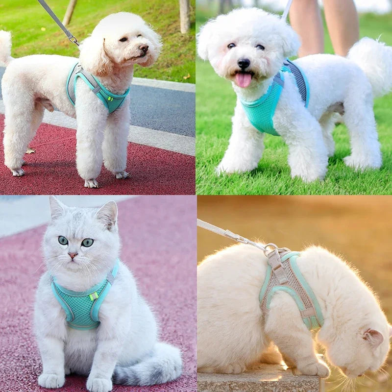 Adjustable Escape-Proof Cat & Small Dog Harness with Leash