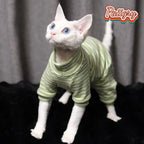 Warm Four-Legged Clothes for Hairless Cats