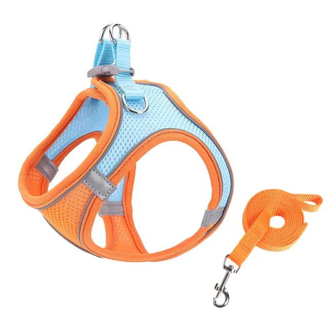 Adjustable Escape-Proof Cat & Small Dog Harness with Leash