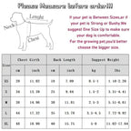 Summer Cooling Dog Vest with Suspenders for Small Dogs