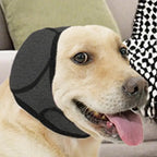 Dog Calming Hat & Noise-Reducing Ear Muffs – Anxiety Relief for Pets