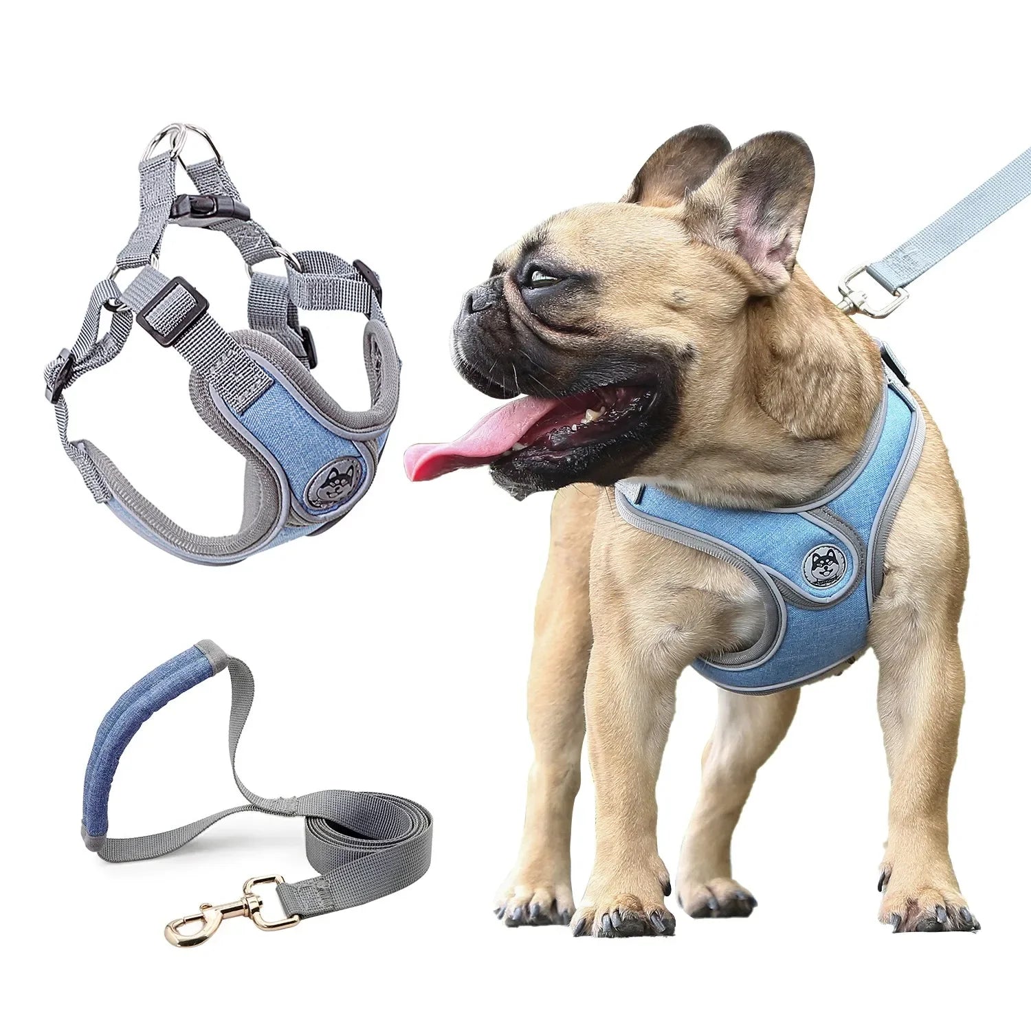 Reflective Dog Harness Vest with Leash & Collar for Small Dogs