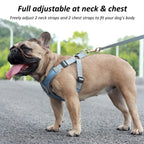Reflective Dog Harness Vest with Leash & Collar for Small Dogs