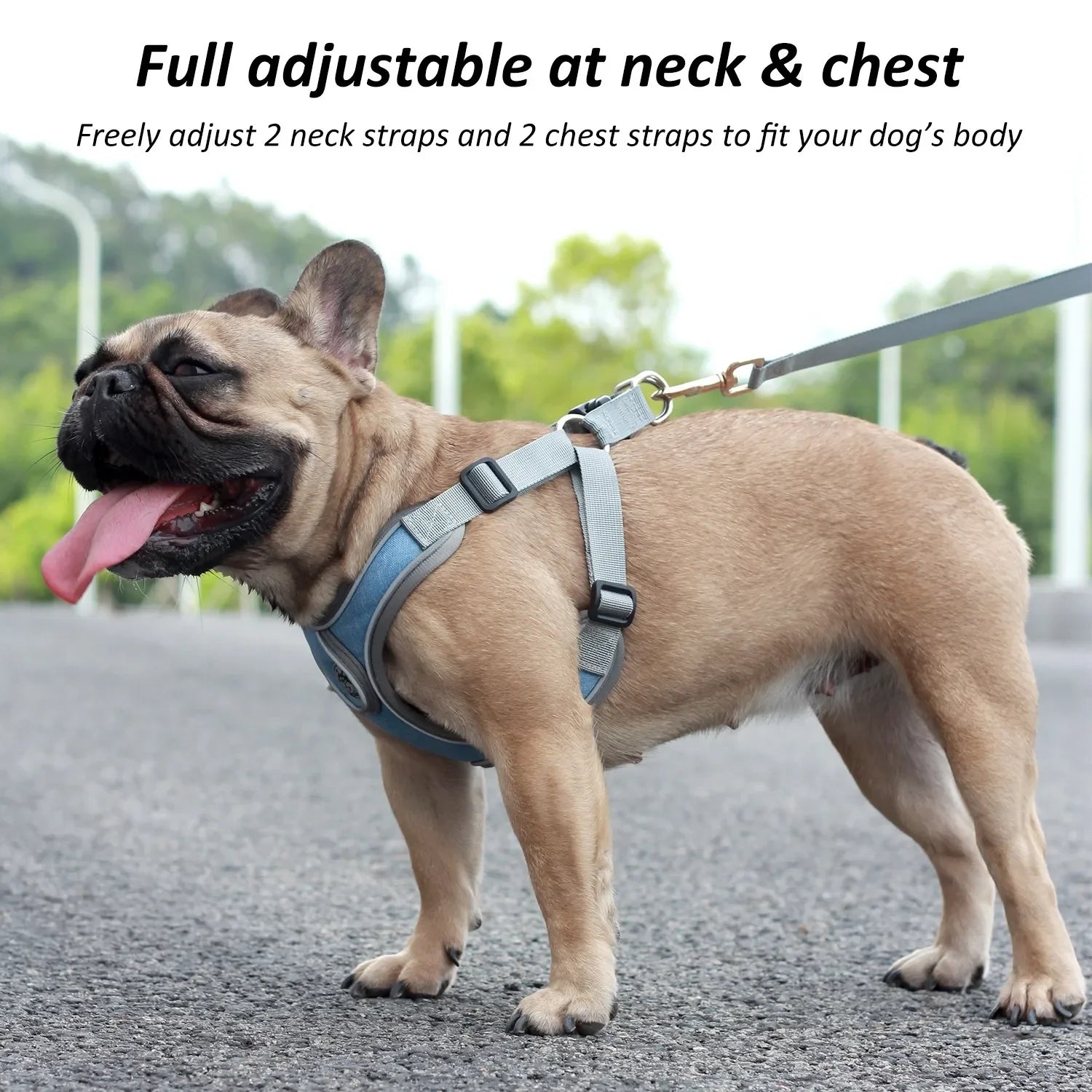 Reflective Dog Harness Vest with Leash & Collar for Small Dogs