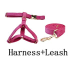 Rose Red Velvet Dog Collar & Leash Set – Custom Nameplate