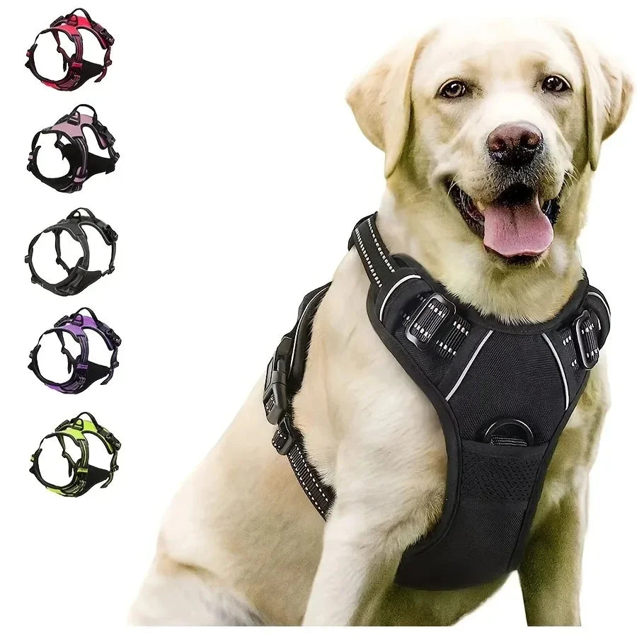 Dog Collar, Harness & Leash Set for Small to Medium Dogs