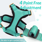 Escape-Proof Adjustable Cat Harness & Leash – Soft Vest for Walking