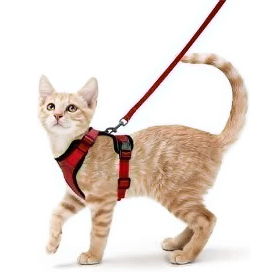 Escape-Proof Adjustable Cat Harness & Leash – Soft Vest for Walking