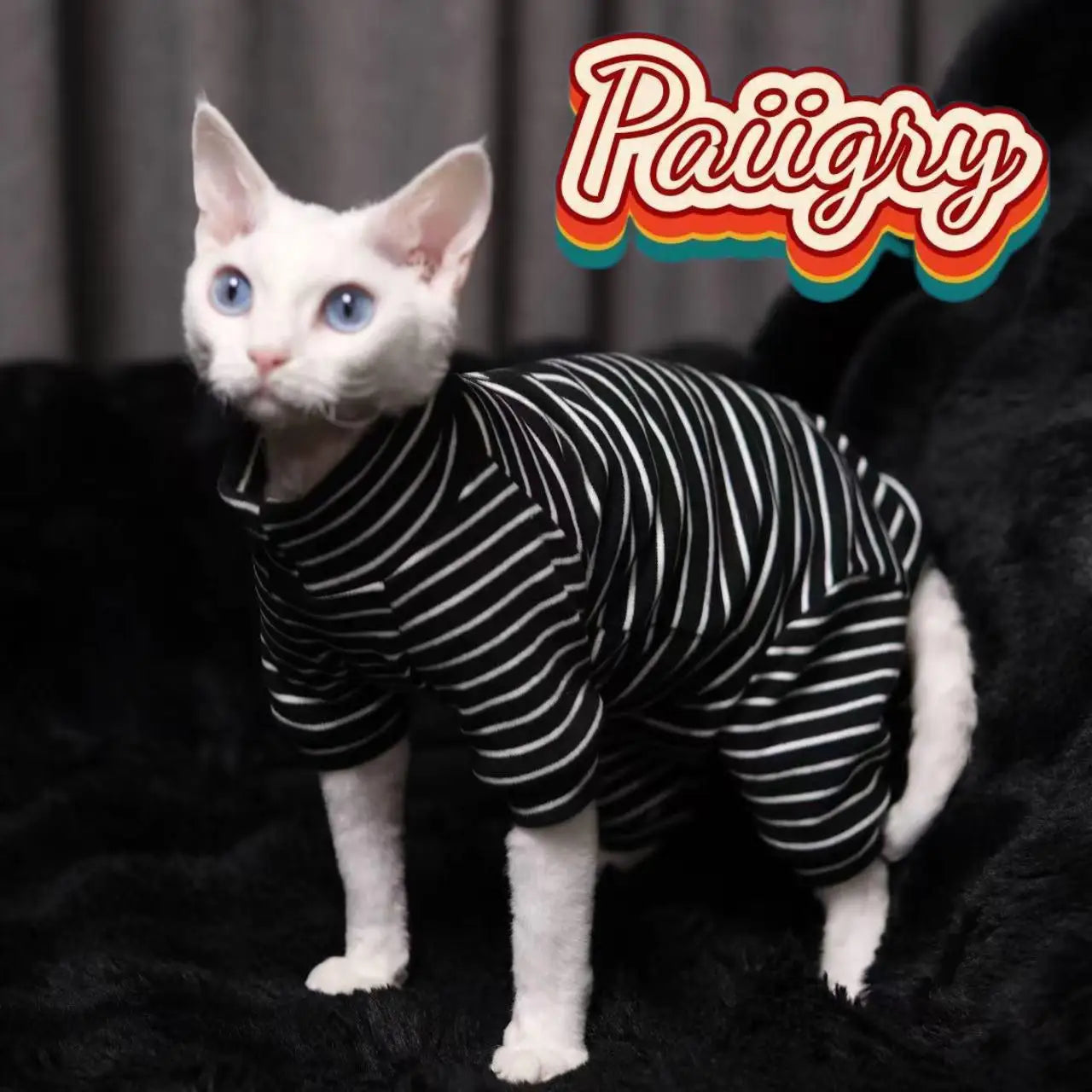 Warm Four-Legged Clothes for Hairless Cats