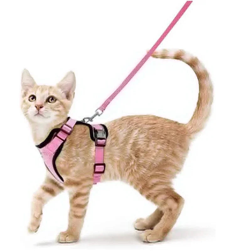 Escape-Proof Adjustable Cat Harness & Leash – Soft Vest for Walking