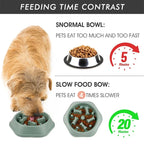 Anti-Choke Slow Feeder Dog Bowl – Puzzle & Non-Slip Design