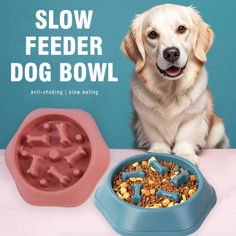 Anti-Choke Slow Feeder Dog Bowl – Puzzle & Non-Slip Design
