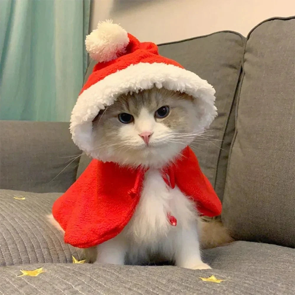 Funny Cat Christmas Santa Costume Cape with Hat