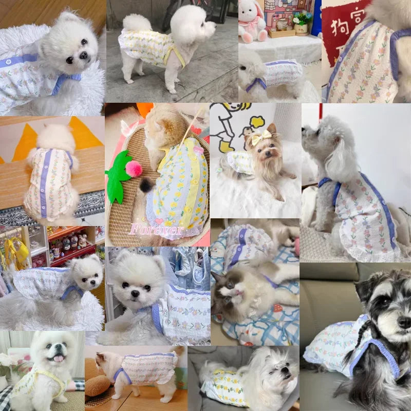 Summer Cooling Dog Vest with Suspenders for Small Dogs