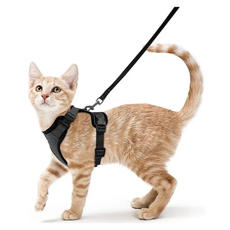 Escape-Proof Adjustable Cat Harness & Leash – Soft Vest for Walking