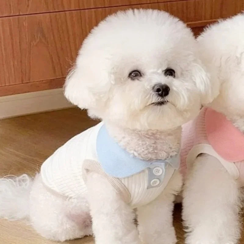 Summer Breathable Dog Polo Shirt for Small Dogs & Cats