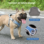 Reflective Dog Harness Vest with Leash & Collar for Small Dogs