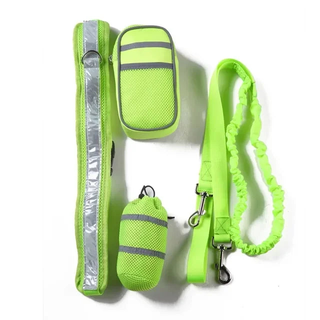 Reflective Pet Harness & Leash Set for Dogs & Cats