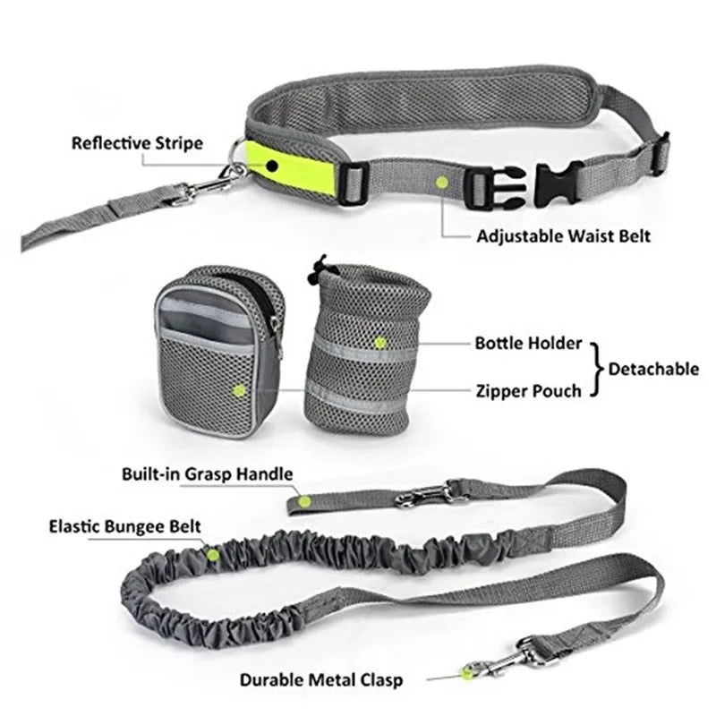 Reflective Pet Harness & Leash Set for Dogs & Cats