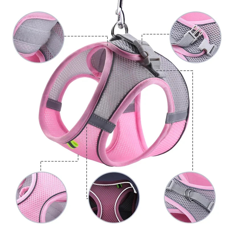 Adjustable Escape-Proof Cat & Small Dog Harness with Leash