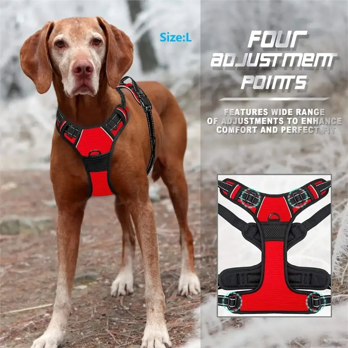 Dog Collar, Harness & Leash Set for Small to Medium Dogs