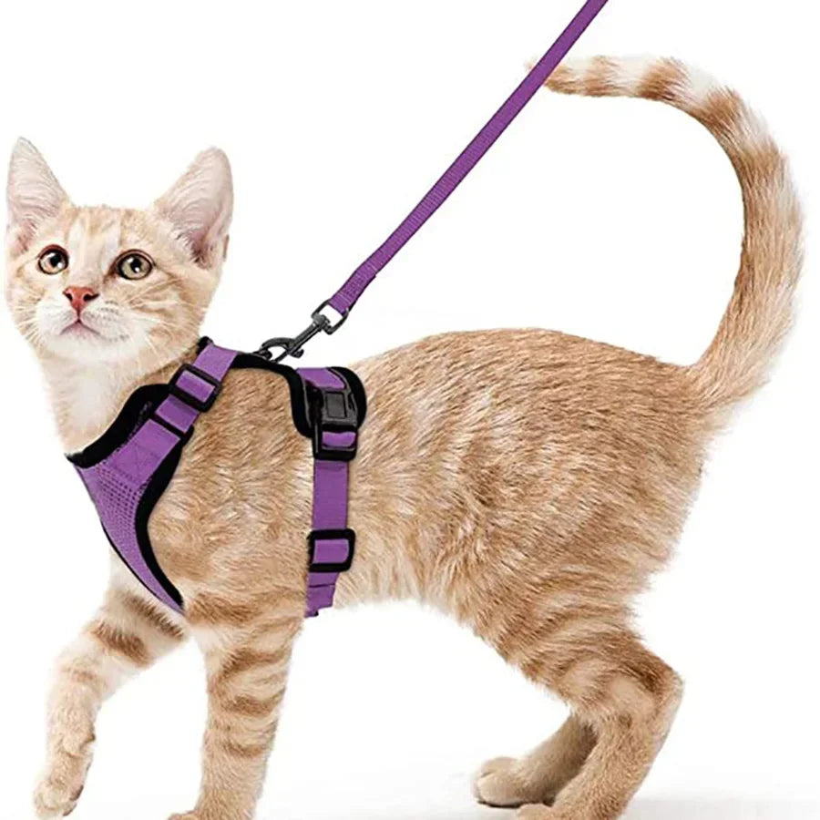 Escape-Proof Adjustable Cat Harness & Leash – Soft Vest for Walking
