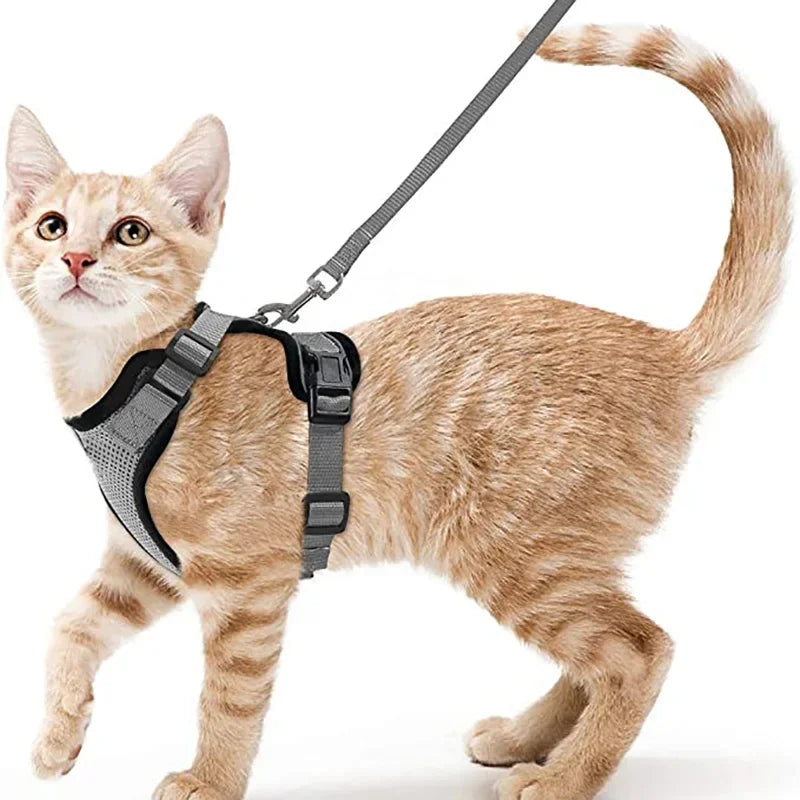Escape-Proof Adjustable Cat Harness & Leash – Soft Vest for Walking